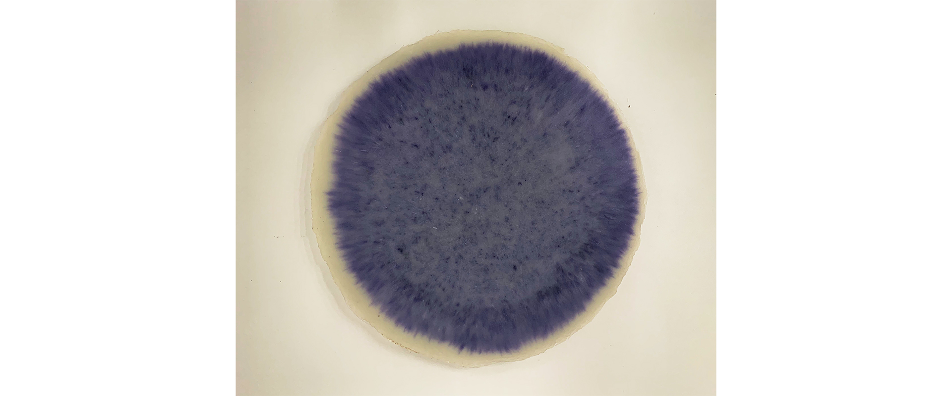 Dot (violett) - 2013, Harz, Pigmente, D. 31 cm