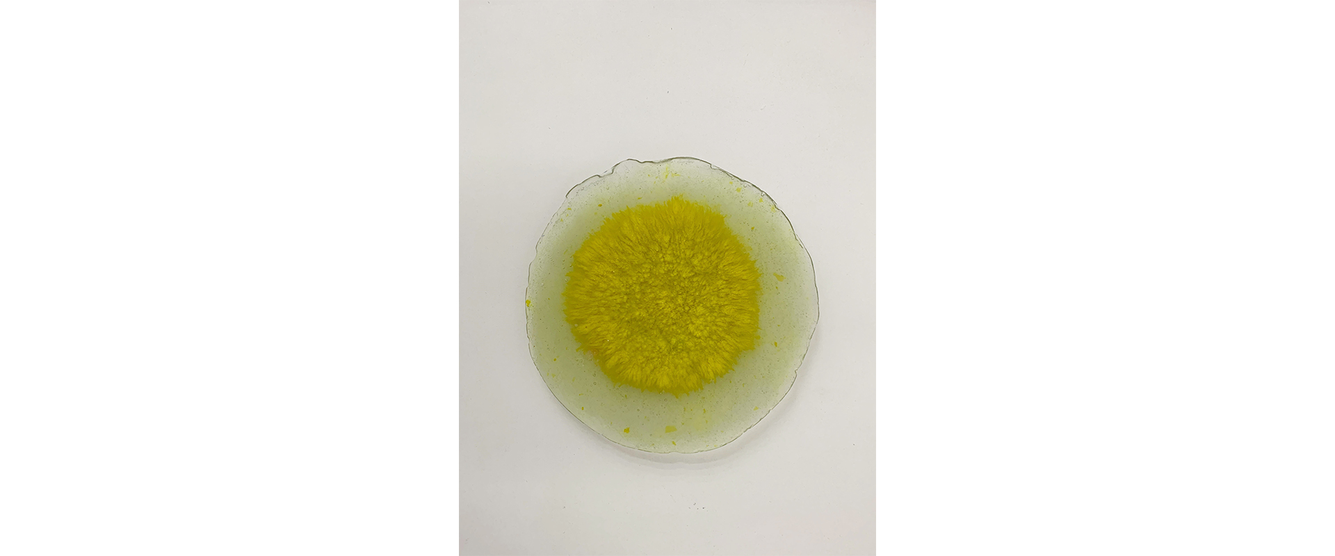 Dot (kleine Sonne, gelb) - 2020, Harz, Pigmente, D. 17 cm