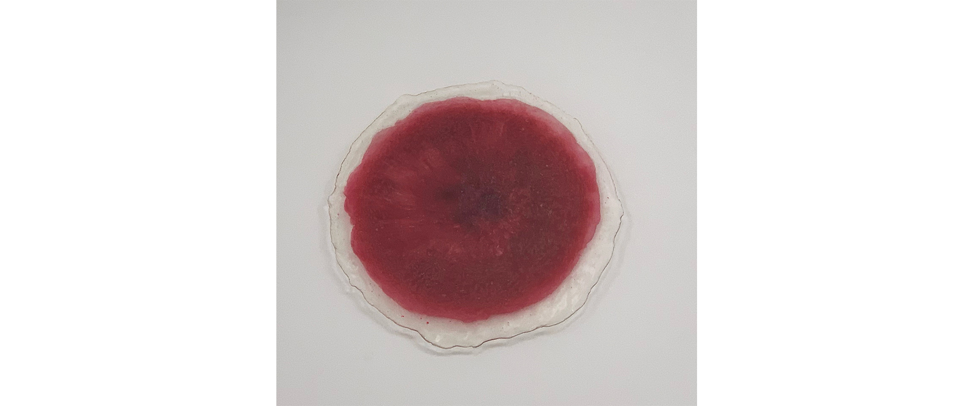 Harald Pompl, Dot (rot) - 2013, Harz, Pigmente, D. 24 cm