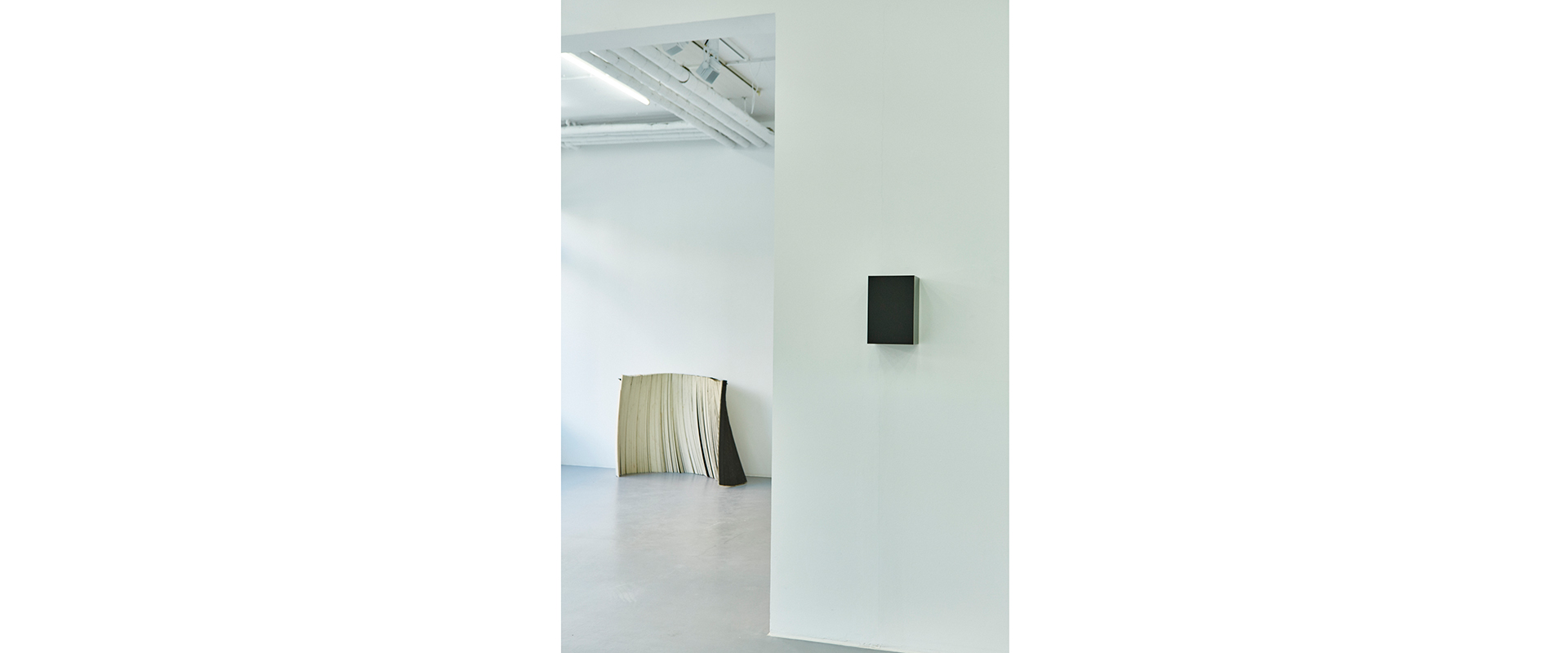 Bender Schwinn Projekt 2, Galerie Renate Bender 2017