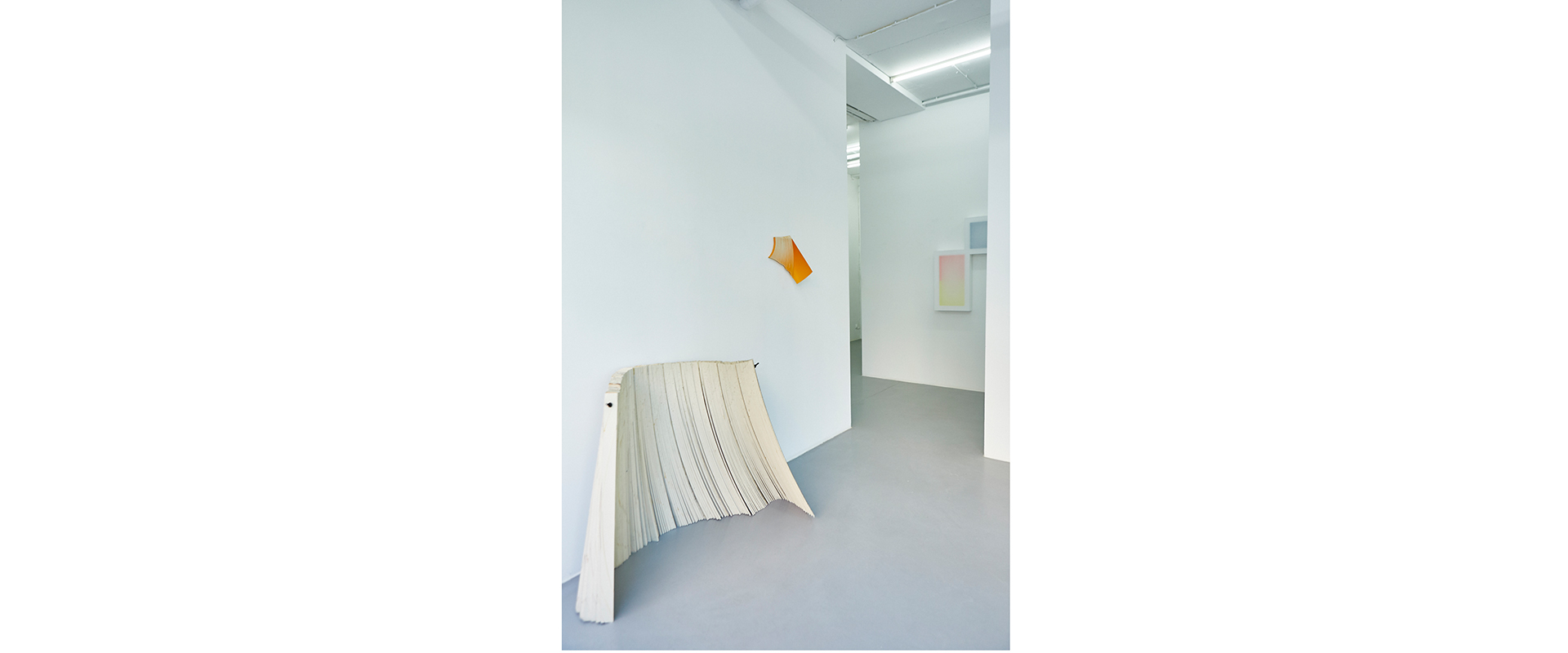 Bender Schwinn Projekt 2, Galerie Renate Bender 2017. Foto: Kathrin Makowski